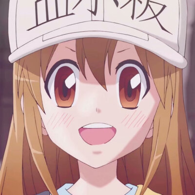 《工作细胞》血小板 白细胞