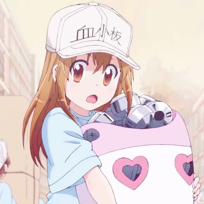 《工作细胞》血小板 白细胞