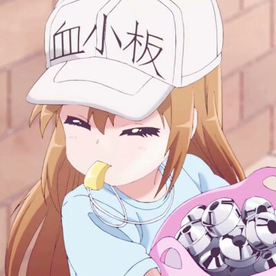 《工作细胞》血小板 白细胞