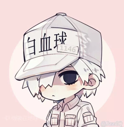 红细胞，白细胞