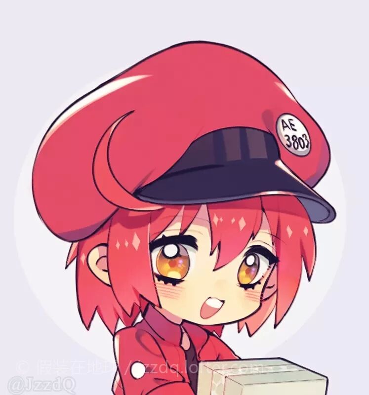 红细胞，白细胞