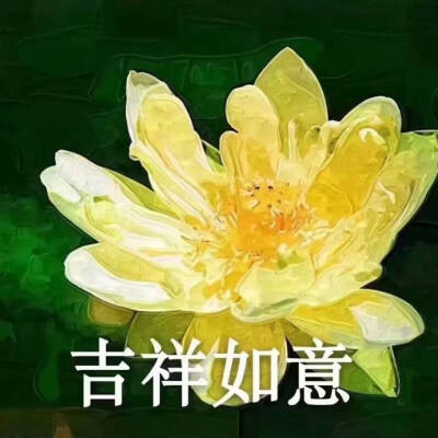 中老年/沙雕头像