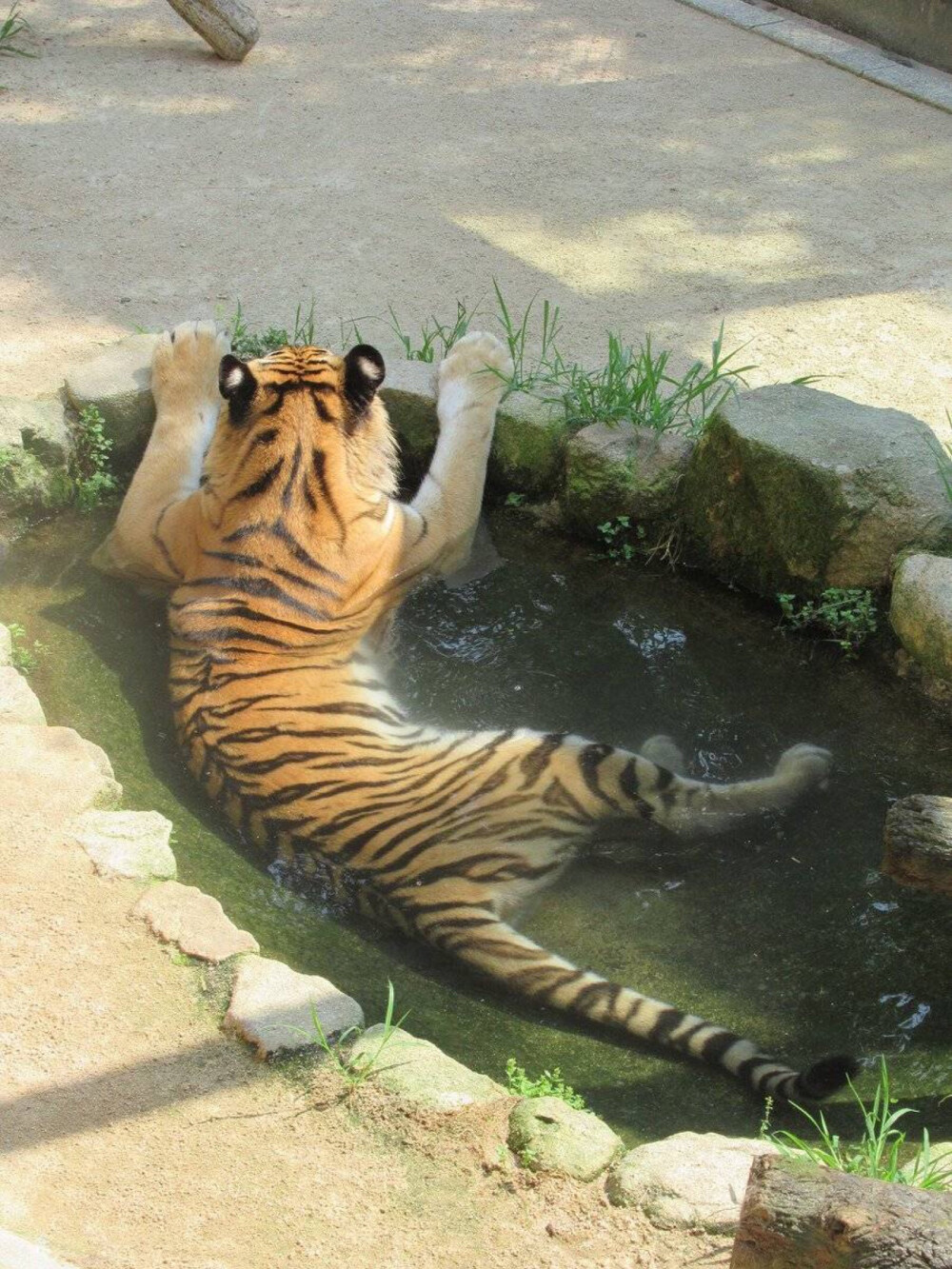 我是个小可爱！