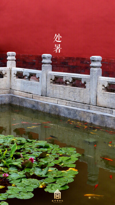 紫禁城【戊戌•处暑•生灵】“红莲相倚浑如醉，锦鲤浮沉镜里天” 照片取自@故宫博物院