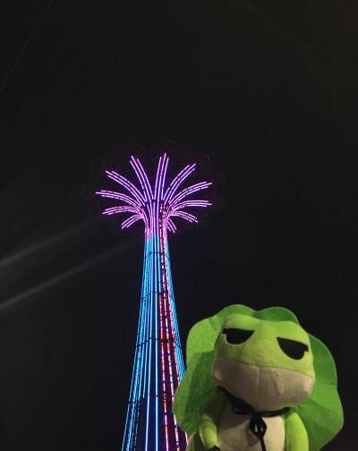 在纽约的第一张照片
坐标Coney Island Luna Park