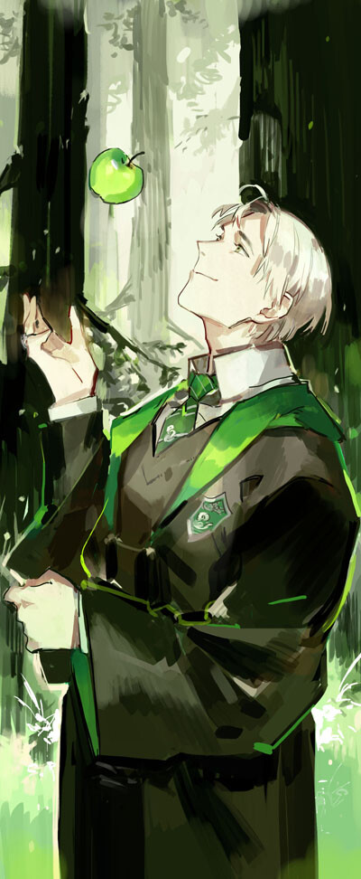 小龙 draco