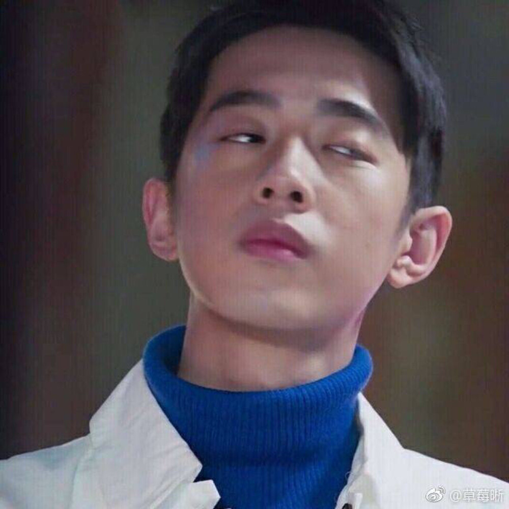 包f5杉菜道明寺花泽类冯美作西门彦合照沈月王鹤棣陈官鸿吴希泽梁靖康