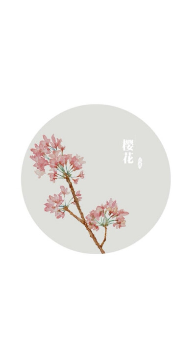 樱花壁纸