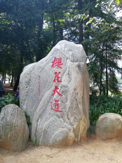 武汉大学