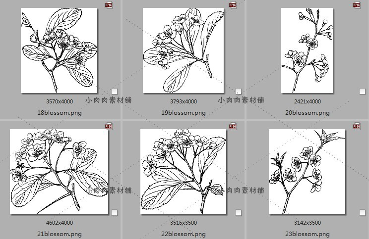 手绘黑白素描植物花卉枝干临摹装饰画图片素材临摹素材24