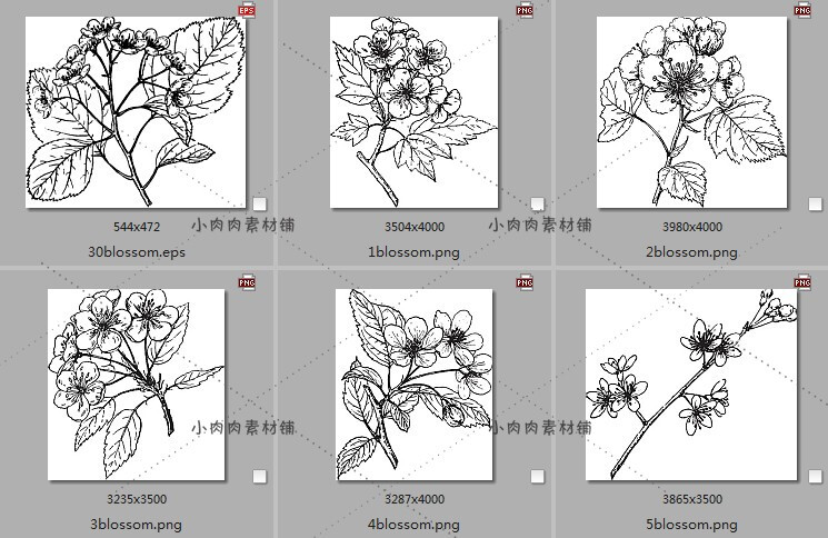 手绘黑白素描植物花卉枝干临摹装饰画图片素材临摹素材24