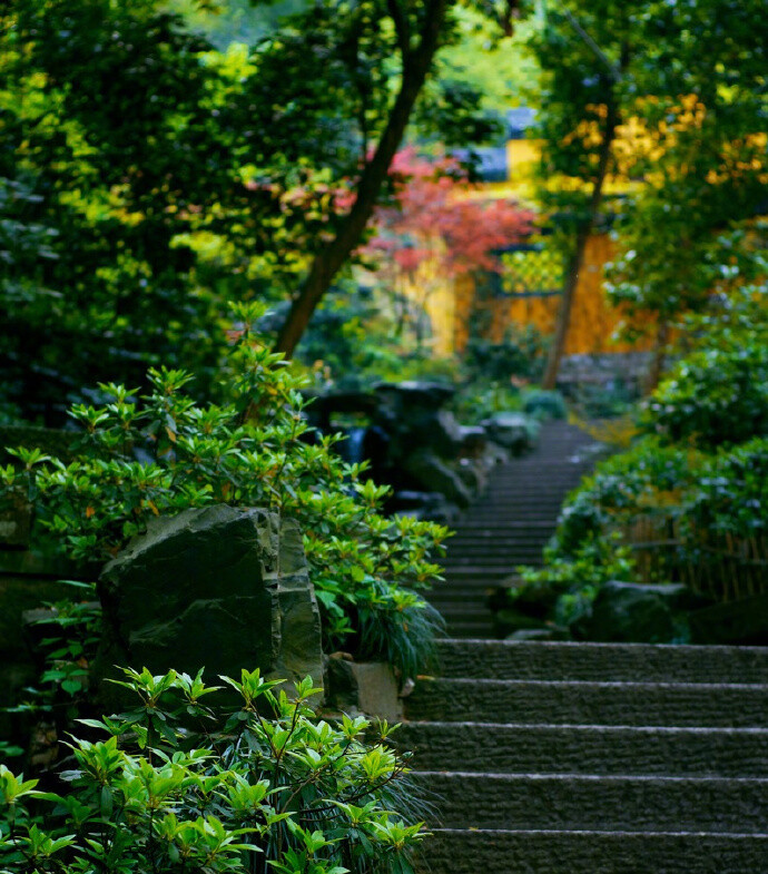 翠树藏古寺,深林隐岫远。 ​