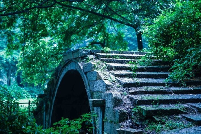 翠树藏古寺,深林隐岫远。 ​