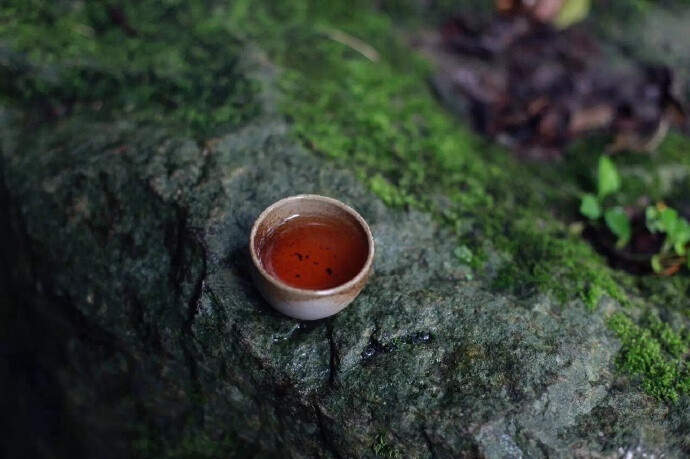 饮下一杯人生的禅茶，在一滴水中，在一朵花间，在婆娑的世界找到最初的自己。 ​