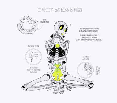 源自：微博/@犹大枣
（Jea的设定）