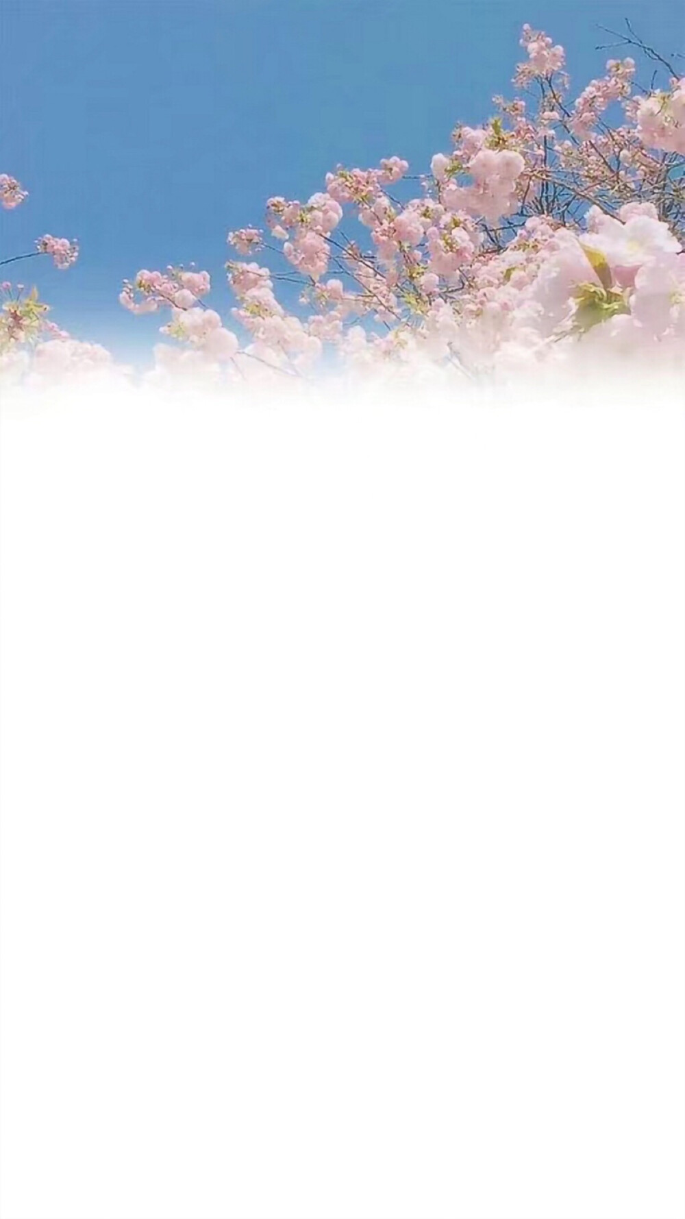 个性名片聊天背景qq=个性名片背景图文字加风景