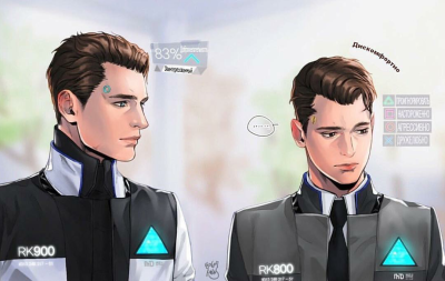 RK900× RK800 水仙组