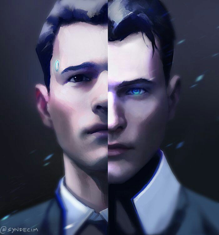 RK900× RK800 水仙组