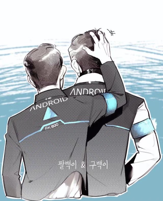 RK900× RK800 水仙组