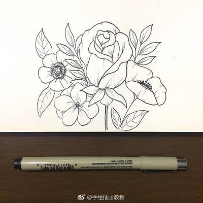 花 针管笔 手绘