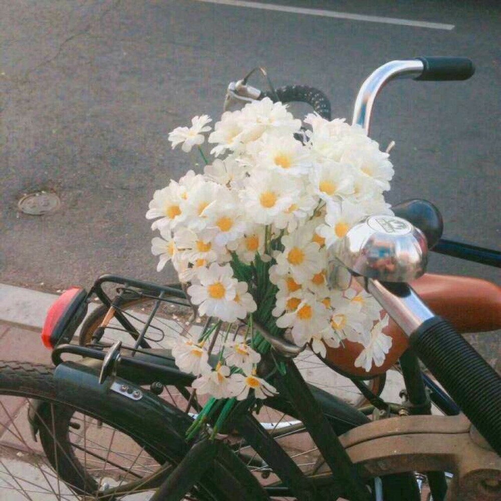 背景图花简约大气