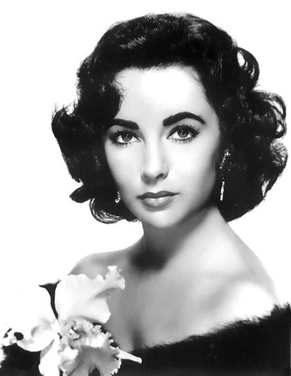 伊丽莎白·泰勒（ElizabethTaylor）拥有德国，苏格兰，爱尔兰血统。被看做是美国电影史上最具有好莱坞色彩的人物，纵横好莱坞60年，惯有好莱坞传奇影星、常青树、世界头号美人、玉婆之美誉，尤其以一双漂亮的紫罗兰色眼睛闻名于世。