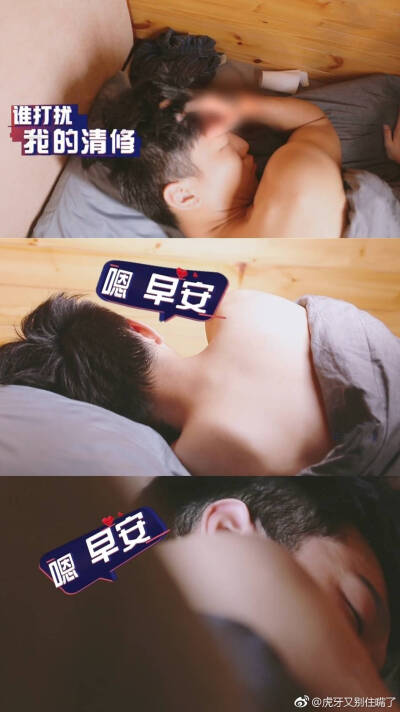 蔡维泽 傻子与白痴❤