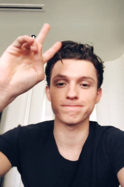 tomholland harrison