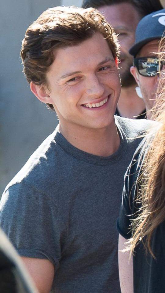 tomholland harrison