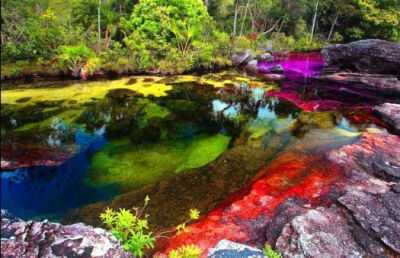 上帝的调色板——Cano Cristales，位于哥伦比亚北部。里面生长的海藻会随着季节变幻出不同的颜色，呈现出了这样多彩绚丽的颜色。#新学期去哪high# ​