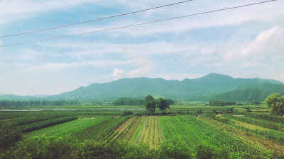 火车上的风景 北方的田野