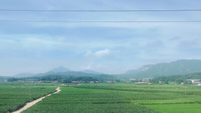 火车上的风景 北方的田野