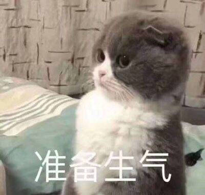 表情包