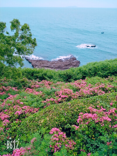 情定涠洲