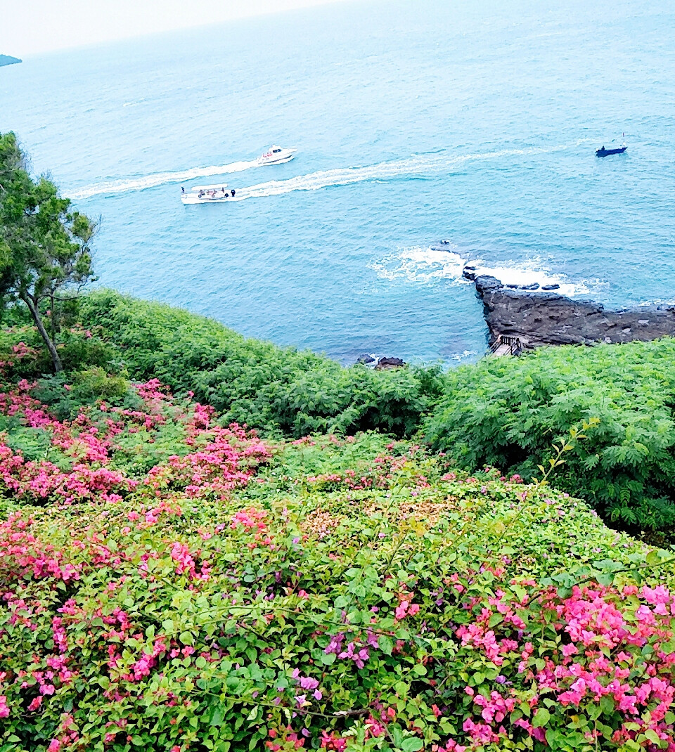 情定涠洲