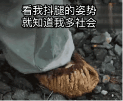 今日份沙雕表情包