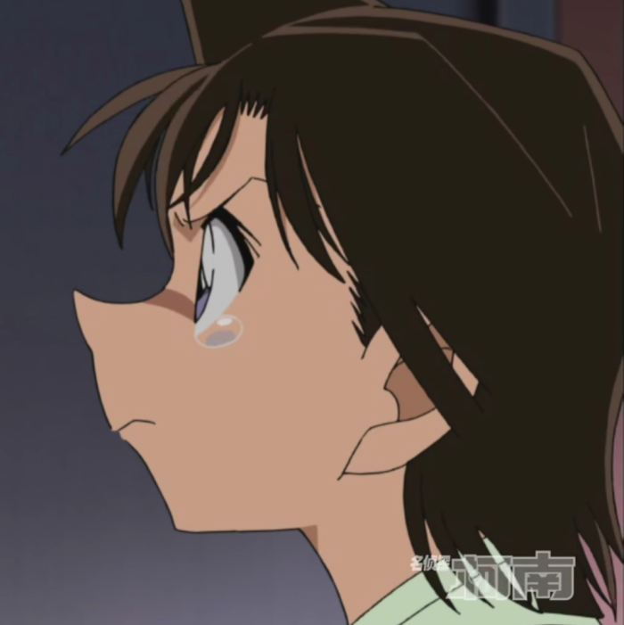 名侦探柯南新一 兰樱花班的回忆情侣头像 堆糖 美图壁纸兴趣社区