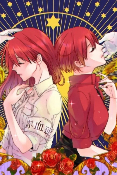 工作细胞-红细胞