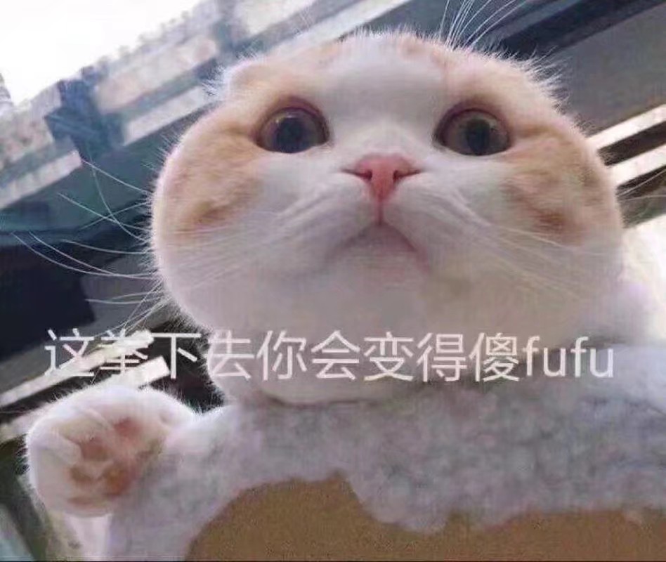 猫咪7.0