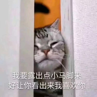 求点赞求关注哦ớ ₃ờ