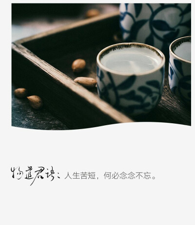 茶杯