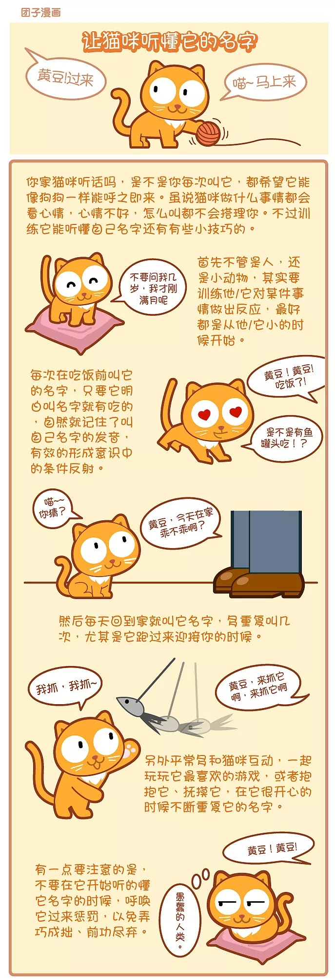 让猫咪听懂它的名字 ~ 宠物常识漫画_ 团子宠物