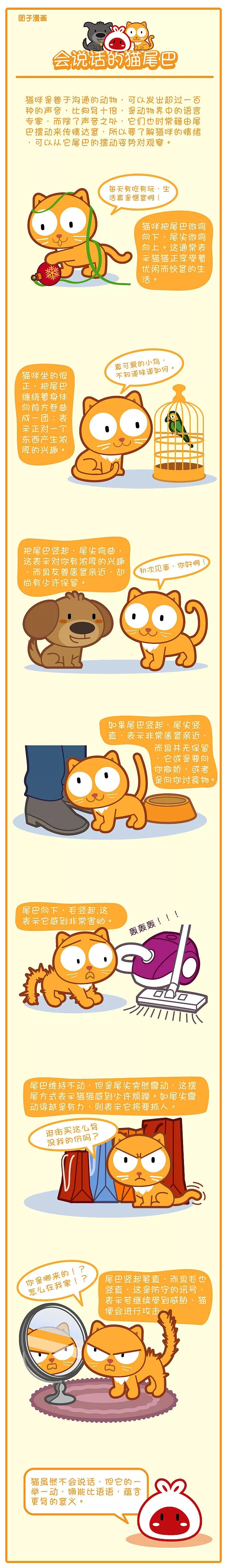 会说话的猫尾巴 ~ 宠物常识漫画_ 团子宠物