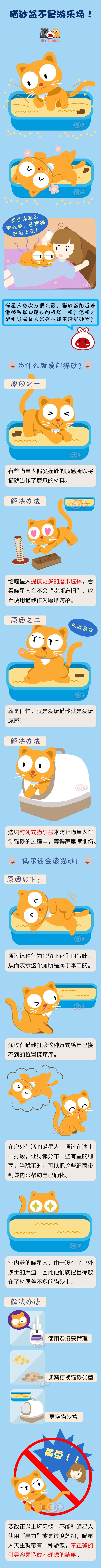 纠正猫咪玩猫砂 ~ 宠物常识漫画_ 团子宠物