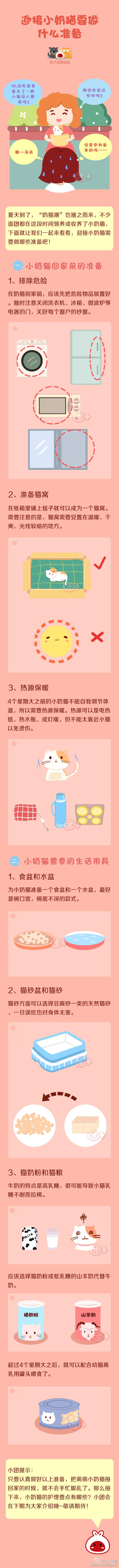 迎接小奶猫要做什么准备 ~ 宠物常识漫画_ 团子宠物