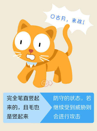 猫尾巴的心情 ~ 团子宠物漫画