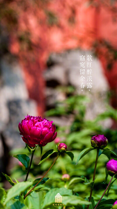 故宫博物院（图源微博）