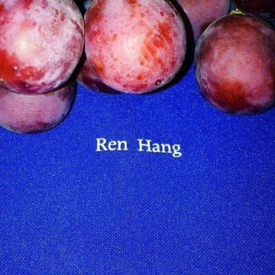 杂糅