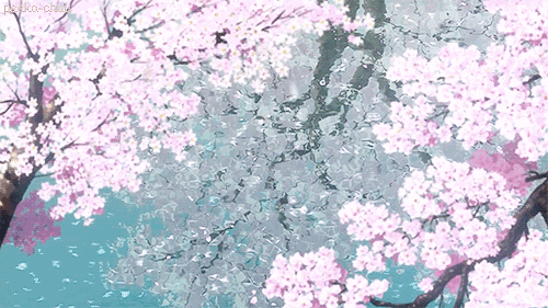 少女心 动图 可爱 樱花 风景 勿二传，二传必究
微博：浅色夏沫歆