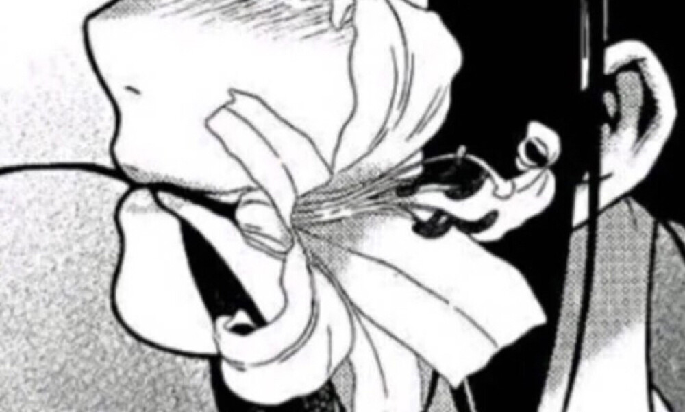 动漫脸。女